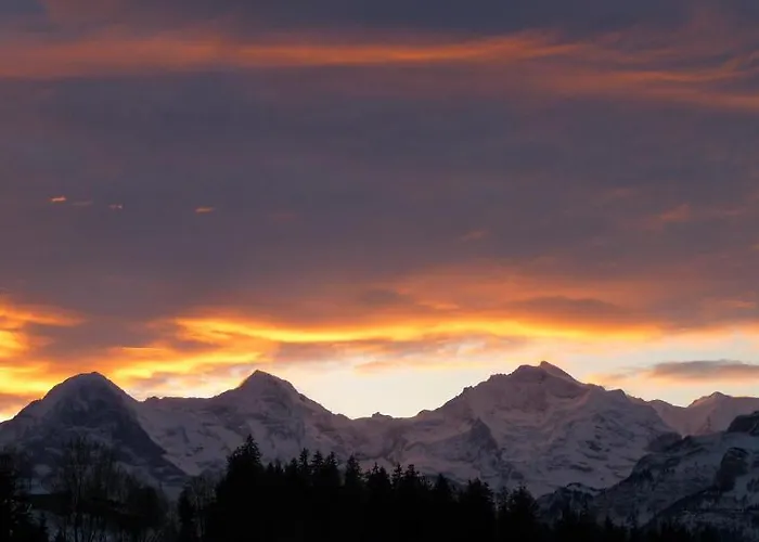 Frühstückspension Alphotel Eiger 3*