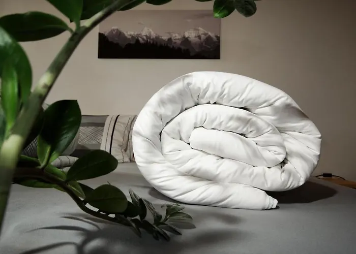 Bed & Breakfast Alphotel Eiger Beatenberg