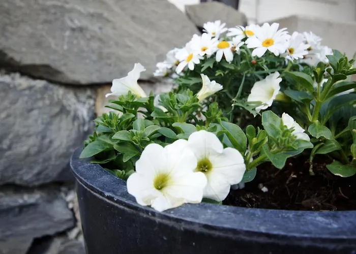 Alphotel Eiger Beatenberg