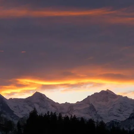 Bed & Breakfast Alphotel Eiger 3*