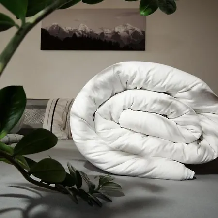 Bed & Breakfast Alphotel Eiger Beatenberg