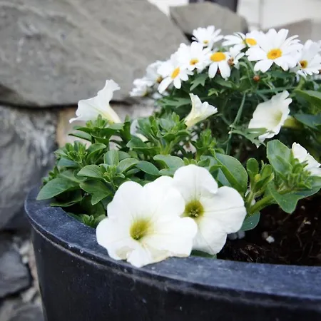 Alphotel Eiger Beatenberg